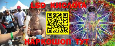 прущие крисы Камышлов