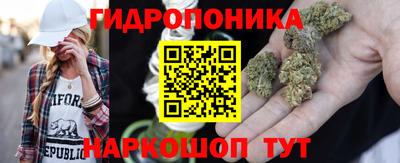 СК Кандалакша